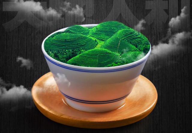 绿茶的品种（绿茶的品种有哪些）